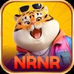 nrnr Gold BR v4.5.4