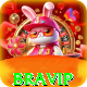 bravip Premium - Free Download